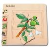Lagen-Puzzle - Apfel