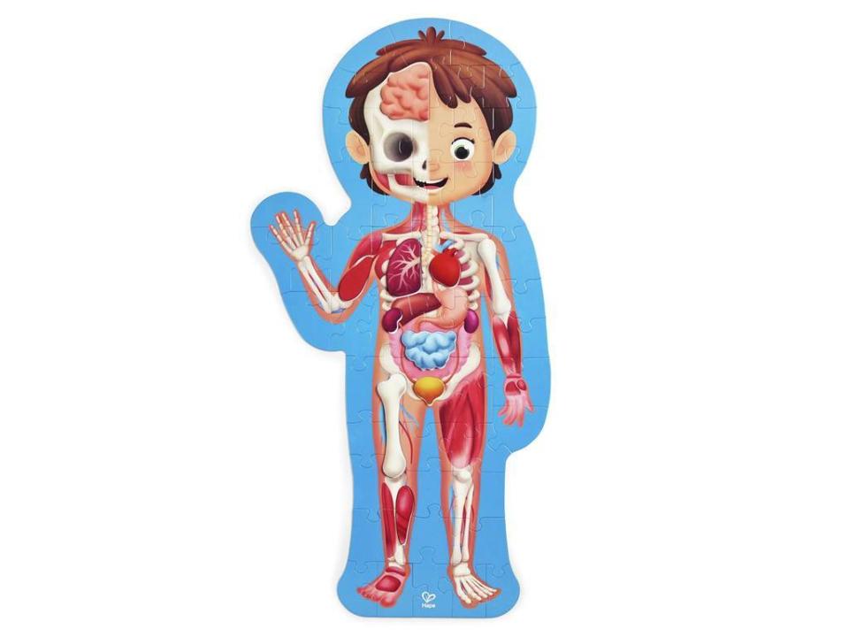 K-rperpuzzle-1 Bodenpuzzle Mein Körper - 61 Teile vollständig zusammengesetzt, zeigt die menschliche Anatomie. KiTa-Spielewelt