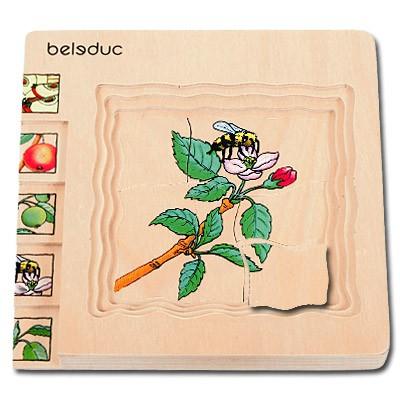 Lagen-Puzzle - Apfel