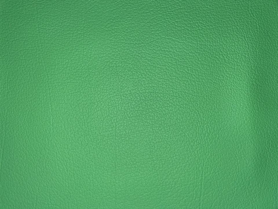 010-grasgr-nxsVRdWfoXvkV9 grasgrün 010