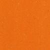 orange_7_1_1_1_1_2_1