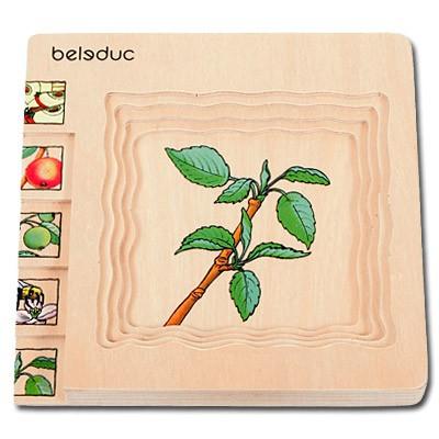 Lagen-Puzzle - Apfel
